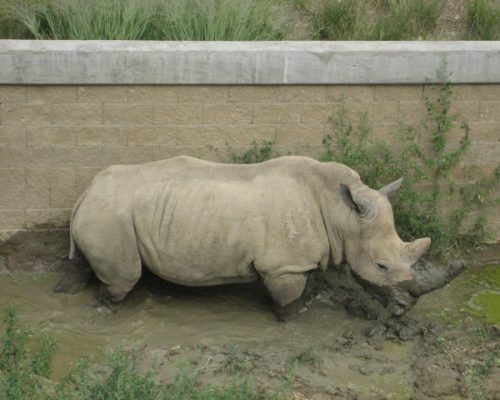 Nebraska 055